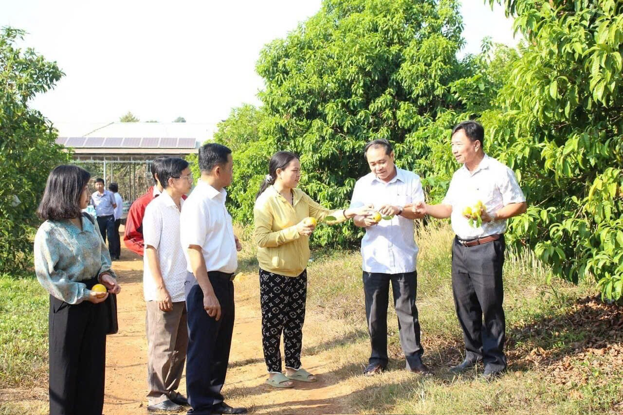 Long Tân: Đổi thay sau 30 năm thành lập Từ điểm xuất phát thấp, qua 30 năm thành lập